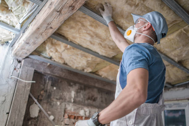 Best Insulation Replacement Services  in South Kensington, MD