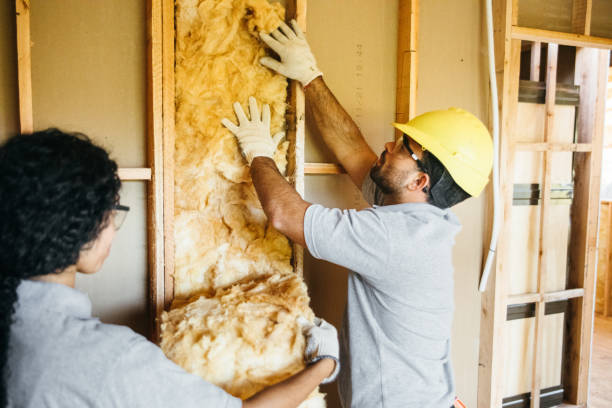 Insulation Inspection Services in South Kensington, MD