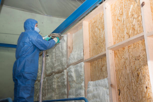Best Wall Insulation Contractor  in South Kensington, MD